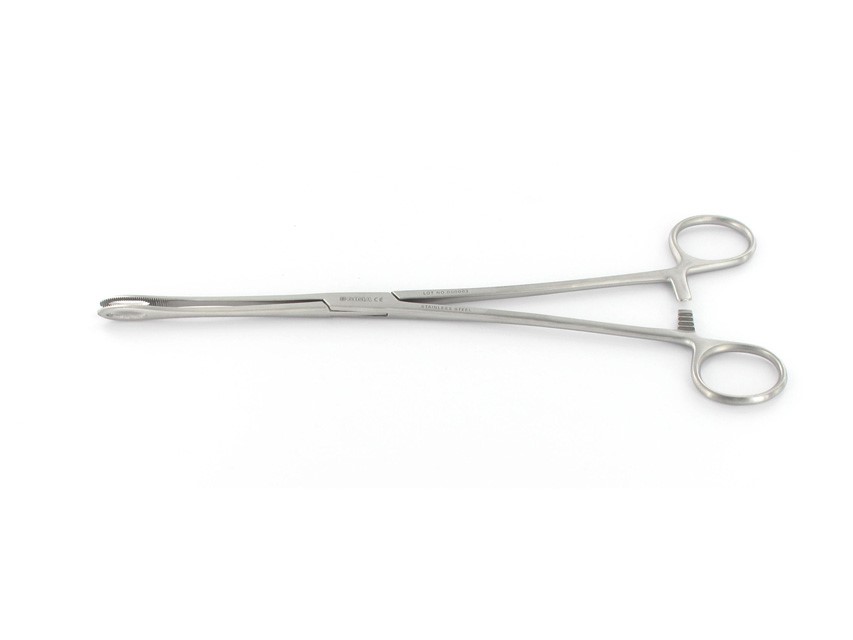 Foerster Small Ring Forceps- 25 cm